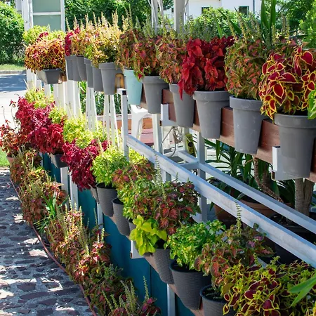 árpi-ria üdülőház Homestay szállás Balatonfüred