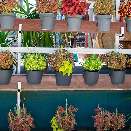 árpi-ria üdülőház *