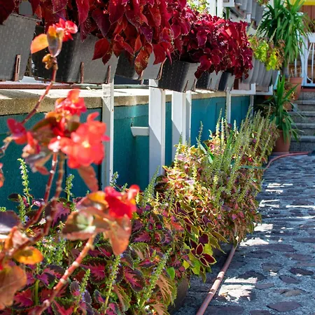 Homestay szállás árpi-ria üdülőház *